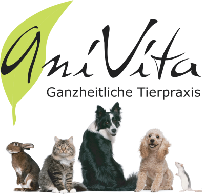 AniVita Ganzheitliche Tierpraxis 
